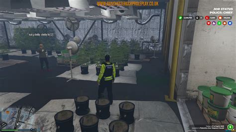 Rare Fivem Ready Cookies Enhanced Weed Shop Map Mlo For Fivem Server