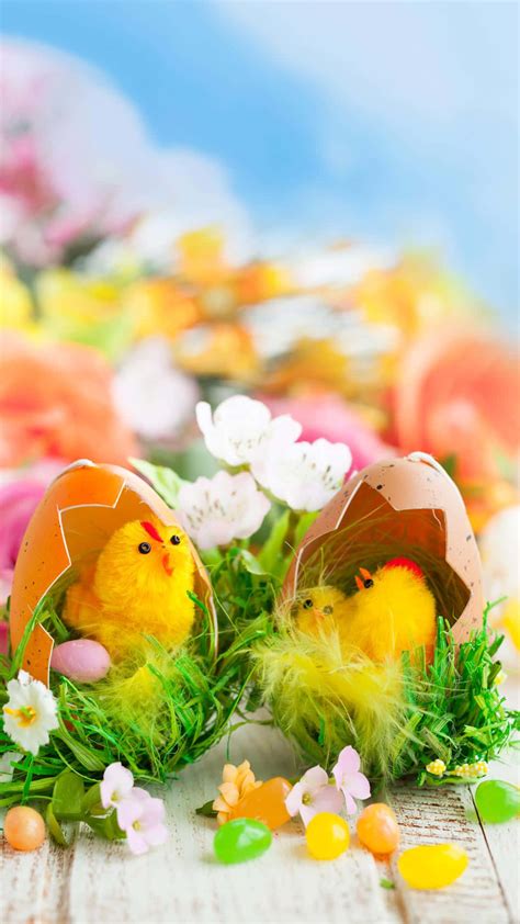 Download Cute Easter Iphone With Two Hatched Eggs Wallpaper