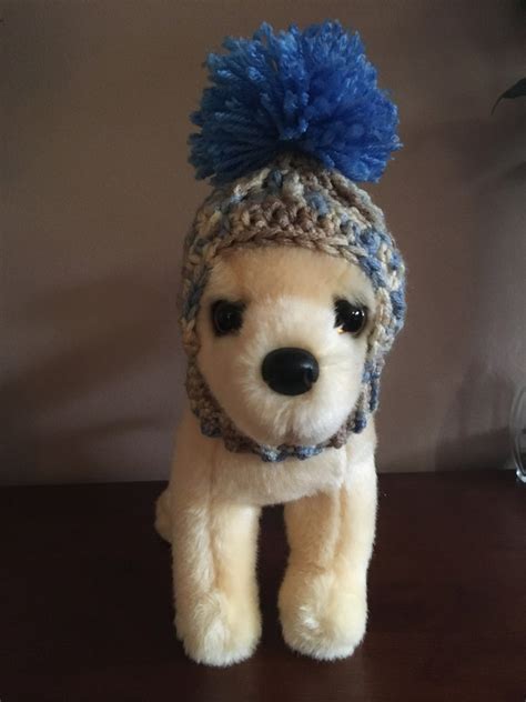 Chihuahua Hat Crochet Dog Hats Small Dog Hats Dog Hats Etsy
