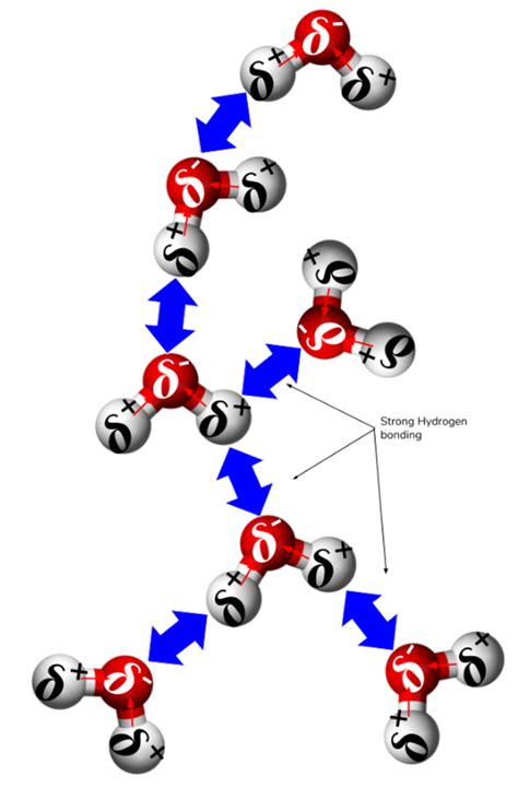 Pivot interactives makes hundreds of real online labs for biology, chemistry, physics and earth science. Pivot Interactives Answers Chemistry Reddit + mvphip ...