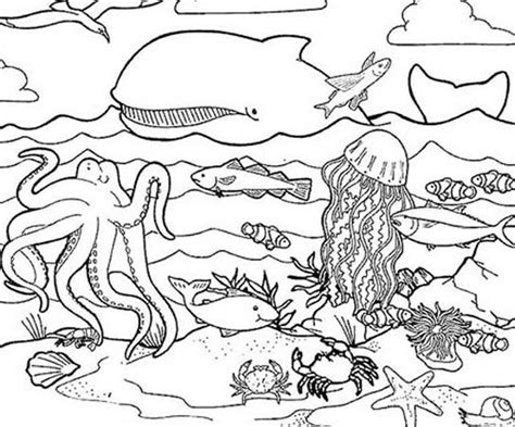 Ocean animals coloring pages for kids to print and color. Sea Animals Coloring Pages - Coloring Home