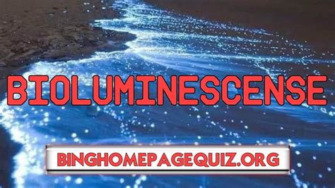There are many general bing news questions related to daily news. What is the Bing Bioluminescence Quiz? | Bing Homepage Quiz
