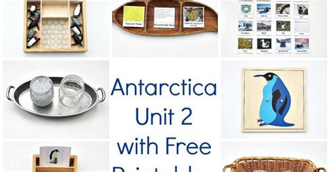 Antarctica Unit 2 with Free Printables | Antarctica activities