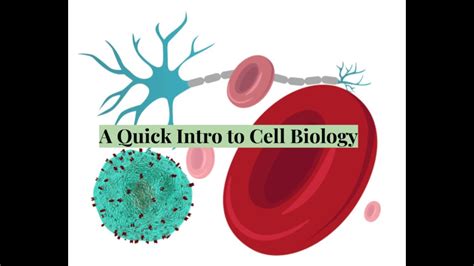 Intro To Cell Biology Youtube
