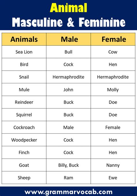 Top 156 Genders Of Animal