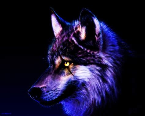 Feel free to send us your own wallpaper. Unusual Fixed Wolf Wallpaper By Wolfkermek Dcuz Full Size ...
