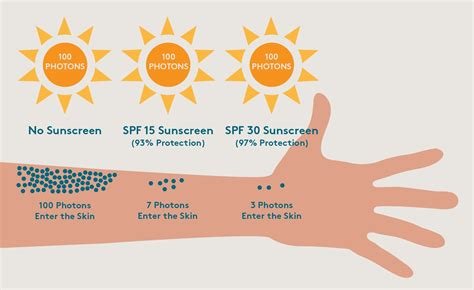 Sun Care Why Sunscreen Is Important Rskincareaddiction