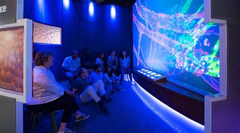 Hall Of Human Life Museum Of Science Boston Adds Depth To A Video