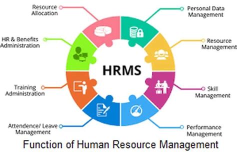 6 Functions Of Human Resource Management Project Management Small