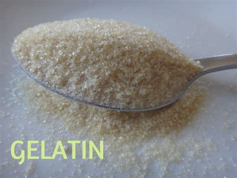 The halal and haram sources of this matter have been debated among muslim jurists. Is It Really Halal? | Gelatin, Cooking ingredients, Health