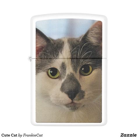 Zippo lighter polished brass logo 28145. Cute Cat Zippo Lighter | Zazzle.com | Zippo lighter, Zippo ...