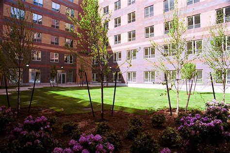 Davenport Commons Housing Dhk Architects