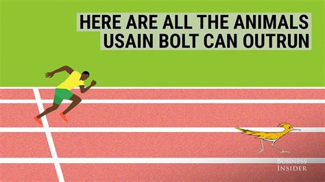 If you do own a gaming pc with more advanced features and hardware, the recommended processor is an intel core i5 to make sure the game can run smoothly. Here are all the animals Usain Bolt can outrun - YouTube
