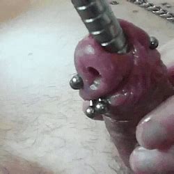 Urethra Stretching And Fucking Hot Sex Picture