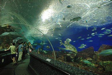 How to get there underwater world langkawi is located on the main drag of cenang, one of langkawi's most popular beach strips, just 5 miles (9 kilometers) from the airport. Best place to visit around the world: Langkawi "Jewel Of ...