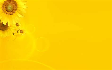 21 Yellow Background Wallpapers Hd Backgrounds Free Download Baltana