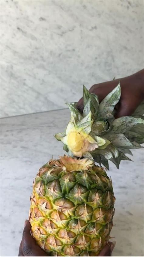 Pineapple Life Hack Cool Way To Eat A 🍍 Correctly And Reuse The Crown