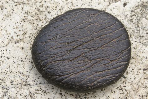 Fileglacier Scratched Pebble Wikimedia Commons