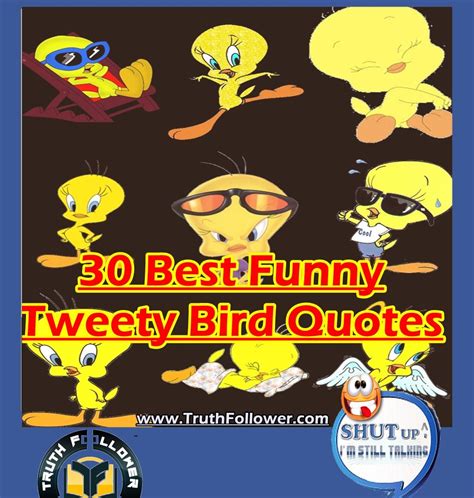 best tweety bird quotes tweety bird quotes bird quotes cartoon jokes