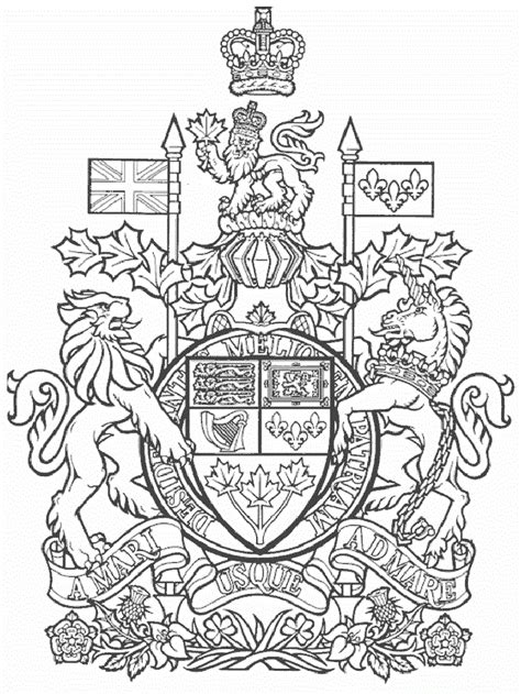 Download template | Coloring pages, Canadian coat of arms, Canada day