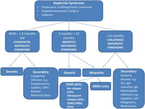 Idiopathic Nephrotic Syndrome A Clinical Approach Paediatrics And