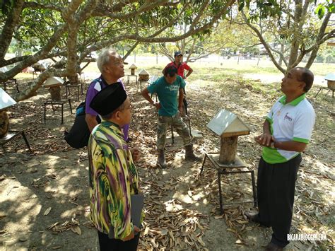 Kebaikan madu, gamat, susu kambing. GEMPAK SIOT : Khasiat dan Kebaikan Madu Kelulut