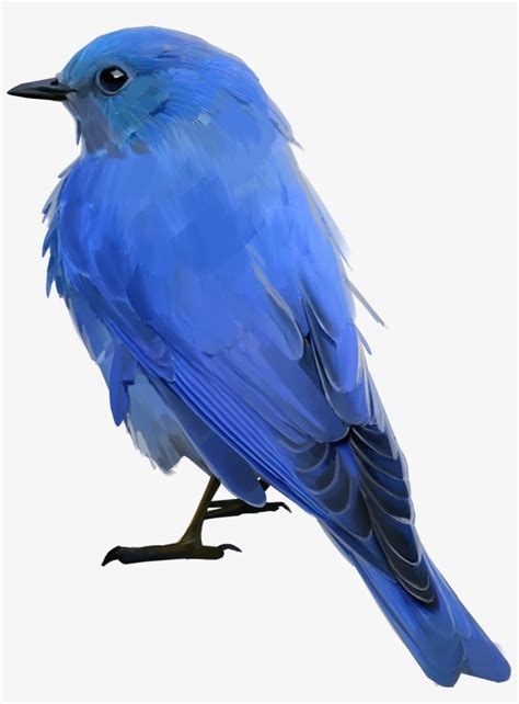 Bluebird Png 20 Free Cliparts Download Images On Clipground 2023