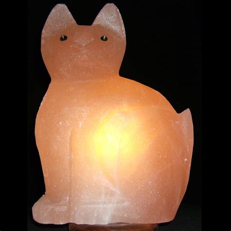 This revolutionary computer friendly lamp plugs into a usb port and helps neutralize harmful electromagnetic energy while naturally ionizing the surrounding air. CAT SALT LAMP (USB) | MyEshop.pk