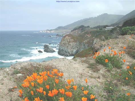 Big Sur Desktop 7 Big Sur Hd Wallpapers Backgrounds Wallpaper