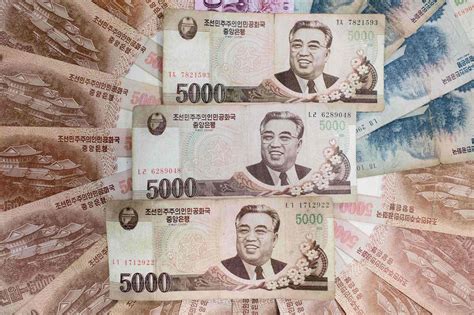 The Markets: Private Economy and Capitalism in North Korea?