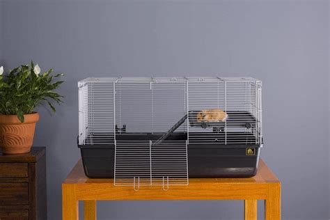 Best Syrian Hamster Cages 2020 Reviews And Top Picks Petkeen