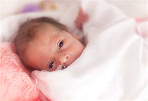 Cuidados Del Bebé Prematuro En Casa