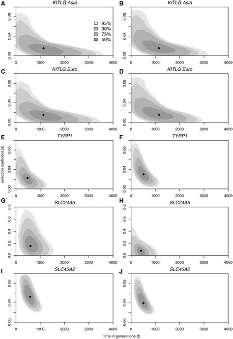 The Timing Of Pigmentation Lightening In Europeans Abstract Europe Pmc