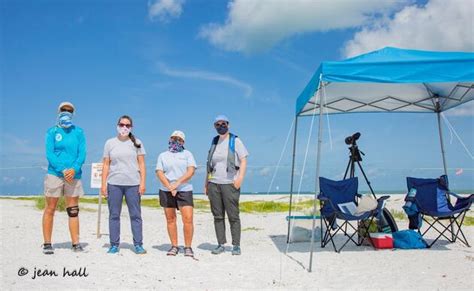 New Mapping Tool To Safeguard Beach Nesting Birds Audubon Florida