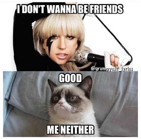 Grumpy Cat Sings Bad Romance By Lady Gaga Grumpy Cat Quotes Funny