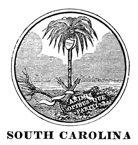 South Carolina State Seal Photograph By Granger Fine Art America