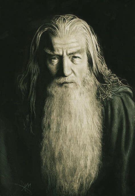 Mithrandir You Shall Not Pass Gandalf The Grey Ian Mckellen Elves