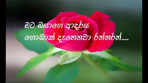 Maybe you would like to learn more about one of these? I Love You / Sinhala Whatsapp Status / Sinhala Love Status ...