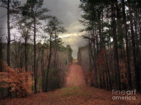 Autumn Fall South Carolina Tree Nature Landscape Photograph By Kathy Fornal