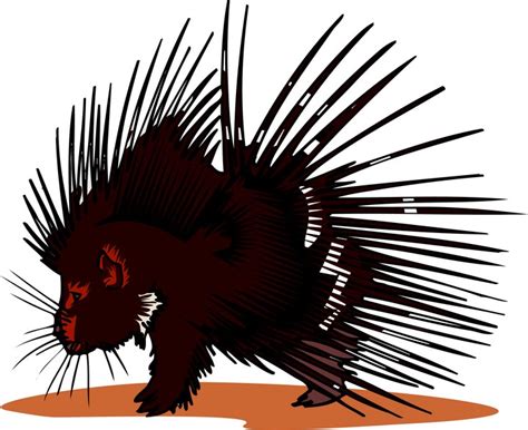 Hand drawn seamless cute hedgehog pattern vector illustration. Free Porcupine Clipart