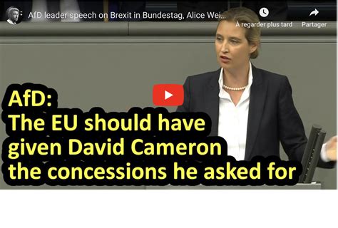 Der parteivorsitzende und die fraktionschefin im bundestag erhielten bei einer. Alice Weidel (AfD) au Bundestag au sujet du Brexit - Les ...