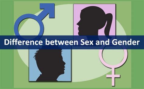 Difference Between Sex And Gender