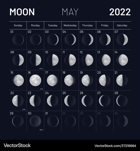 May Moon Phases Calendar On Dark Night Sky Vector Image