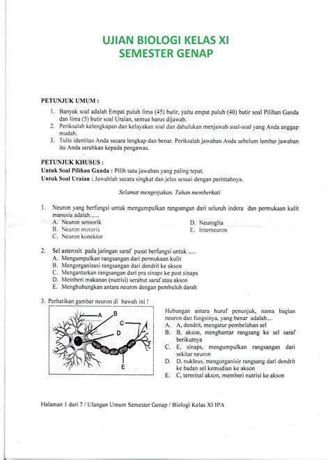 Soal Biologi Kelas 11 Tentang Sistem Saraf Dan Pembahasannya Read