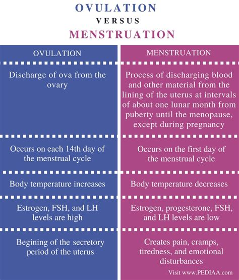 Difference Between Ovulation And Menstruation Pediaacom