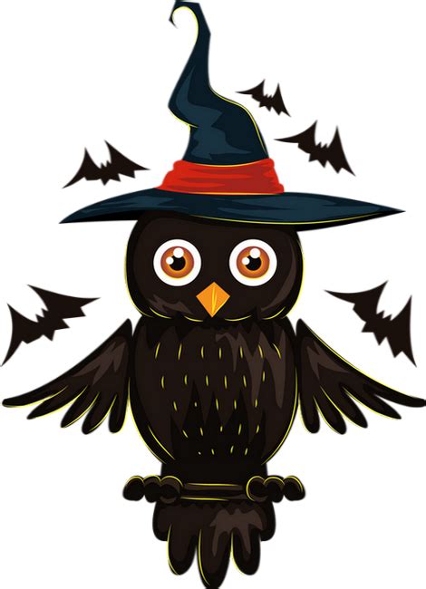 Tube Halloween Hibou Png Chouette Owl Clipart Png