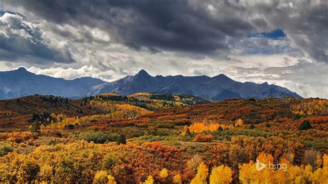 Fall Forest Landscape Bing Theme Wallpaper Preview