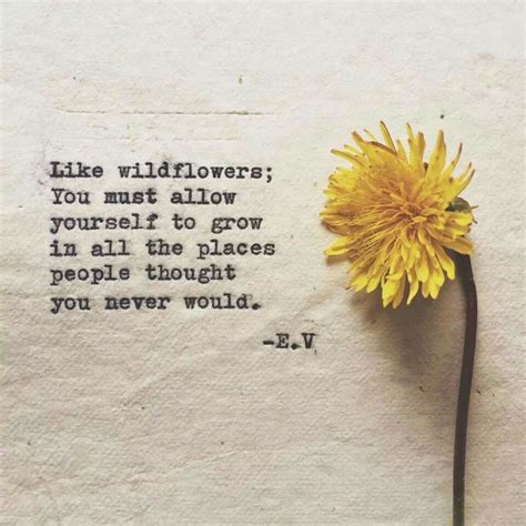 May all your weeds be wildflowers. Wildflower Quotes. QuotesGram