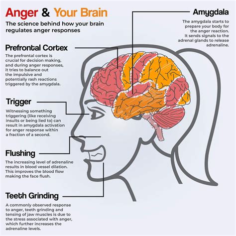 Are Anger Issues Genetic Xcode Life