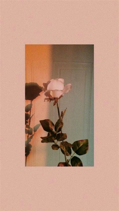 Warna Coklat Aesthetic - Pin By Naty Lafay On Chocolate Brown Wallpaper